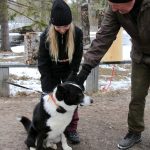 Joanna Ranua ja Tapio Jokikokko antavat rapsutukset metsästyskoiralle.