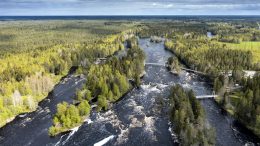 Koitelinkoski on yli kolmen kilometrin pituinen, lähes luonnontilainen Kiiminkijoen koskialue. Koitelin koskialue koostuu kolmesta saaresta; Sahasaaresta, Myllysaaresta ja Tulisaaresta. Saaria yhdistävät riippusillat, jotka ovat varsinkin lapsien mieleen. (Kuva: Visit Oulu)