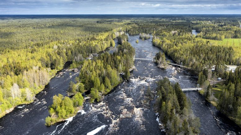 Koitelinkoski on yli kolmen kilometrin pituinen, lähes luonnontilainen Kiiminkijoen koskialue. Koitelin koskialue koostuu kolmesta saaresta; Sahasaaresta, Myllysaaresta ja Tulisaaresta. Saaria yhdistävät riippusillat, jotka ovat varsinkin lapsien mieleen. (Kuva: Visit Oulu)