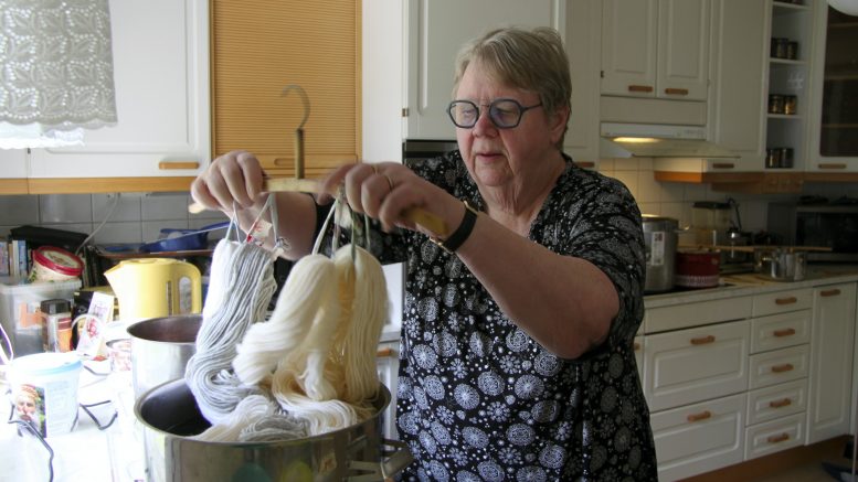 Marjaana Petäjä vinkkaa, että kasvivärjäykseen kannattaa varata aikaa koko päivä, sillä se on hidasta puuhaa. (Kuva: Tuija Järvelä-Uusitalo)