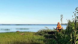 Työt olivat käynnissä viikon puolivälissä Iso-Miehikän saaren länsikärjessä. Metsähallituksen metsuri Jouni Kähkönen työn touhussa, toisena tekiänä on Pentti Korhonen.