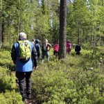 Eija Iisakka johdatti joukon metsän läpi ja pientaretta pitkin takaisin nuorisotalolle.