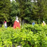 Rastasvahdit työssään Joloksella. Kuva: Kerttu Leskelä, Ylikiiminki