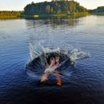 Nikon kesämolskahdus. Kuva: Pia Kyrönniemi, Yli-Ii