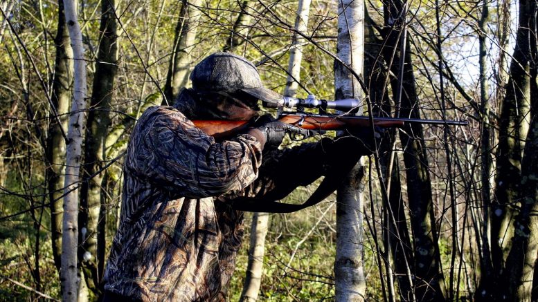 Ruokaviraston tuoreen suosituksen mukaan vesilintujen metsästys alueilla tai paikoissa, joilla on todettu lintujen joukkokuolemia tai lintuinfluenssaa tulisi välttää.