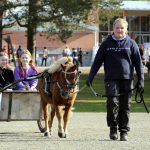 Ajelulle! Jenny Häyrysen oriponin Pelle Grinon kyytiin oli tunkua. Rattailla Erin Ojala ja Sinna Palo.