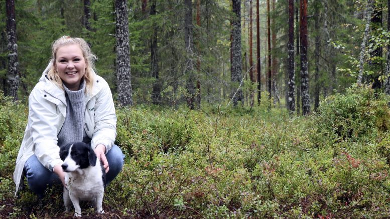 Oululainen Jenna Sivonen on perustanut koirametsän Ylikiimingin Jokikokon Vanhanrannantielle. Hän on tehnyt isänsä Jarmo Sivosen kanssa kesän mittaan töitä koirametsän raivaus- ja rakennustöissä. Nyt Jennan Elsa-koirakin pääsi nauttimaan alkusyksyn tunnelmista koirametsässä. (Kuva: Teea Tunturi)