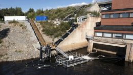Raasakan voimalaitoksella sijaitseva Kalasydän-kalatie on otettu käyttöön heinäkuussa. Kuva: Kai Tirkkonen