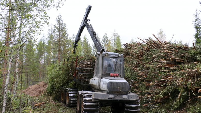 Metsäkoneenkuljettajia valmistuu vuosittain noin 400.