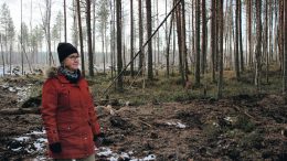 John Nurmisen Säätiön erityisasiantuntija Anna Sarentaus tutustui Metsähallituksen Luontopalveluiden viime kesänä Rantapohjan alueella ennallistamaan Kummunlampi-Uikulanjärven Natura-alueen suojeltuun suoalueeseen. Toimenpiteillä on saatu vähennettyä Perämereen valuvaa ravinnekuormaa. (Kuvat: Säde Mäkipää)