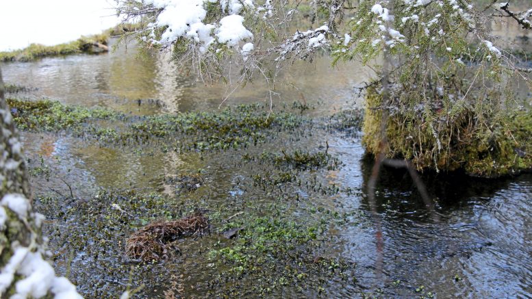 Oulun Veden vedenottolupa viipyi kuusi vuotta Pohjois-Suomen aluehallintovirastossa. Nyt annettu päätös oli myönteinen. (Arkistokuva: Teea Tunturi)