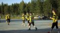 Iin Urheilijoiden miesten pesäpallojoukkue päätti ottaa vastaan paikan lajin suomensarjassa.