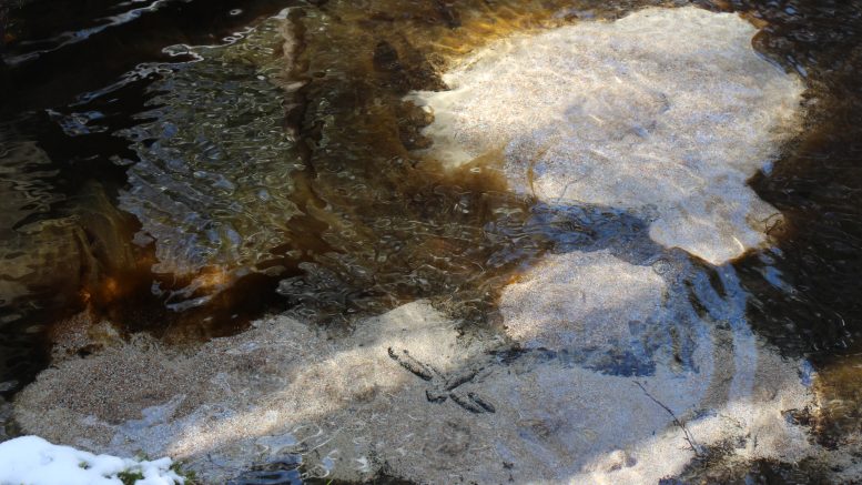 AVIn myöntämä lupa nostaa vettä Viinivaarasta on Henna Määtän mukaan jo lähtökohtaisesti Natura-lainsäädännön vastainen. (Arkisto: Teea Tunturi)