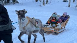 Matti-poro ajeluttaa lapsia Yli-Iissä kaukalopallopuulaakin kylätapahtumassa. (Kuva: Jari Jussila)