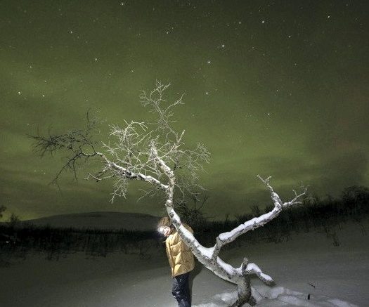 Teija Soinin valokuvanäyttelyssä luonto on vahvasti läsnä.