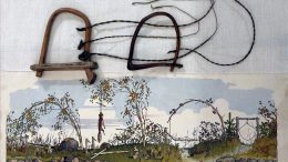 Valokuvassa permiluokkien alla on kaistale Otavan opetustaulua vuodelta 1910. Oikeassa reunassa on kuvattuna lintuansat. Toinen ansa on varustettu vivulla, joka nostaa linnun ulottumattomiin ketulta. (Kuva: Eino Mikkonen)