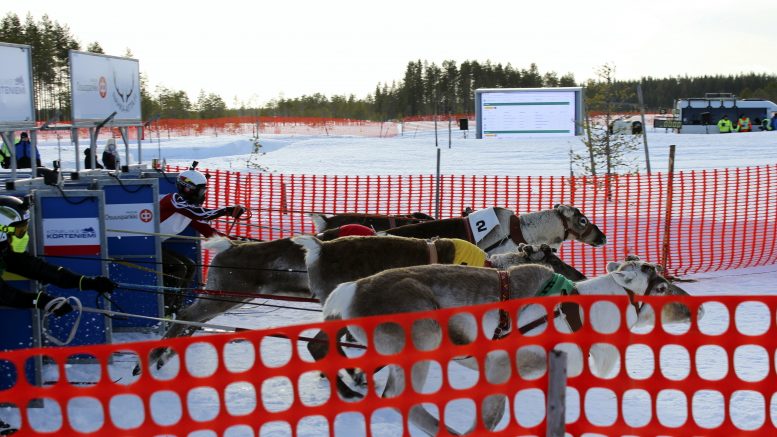 Poroja ei tarvitse kahdesti käskeä, kun luukut rävähtävät auki.