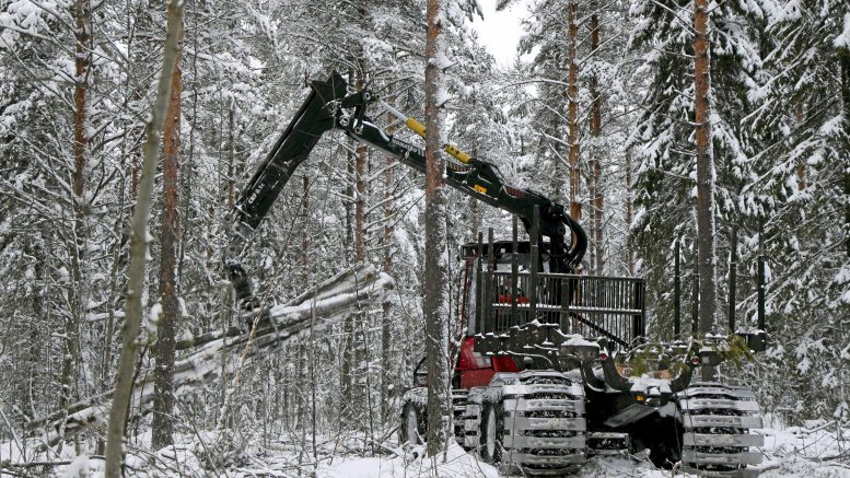 Hakkuukoneilla pystytään keräämään monipuolista tietoa metsävaroista.