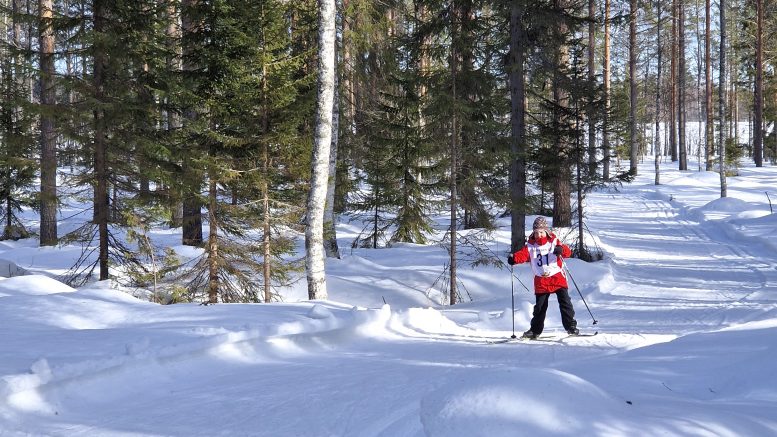 Lentokeli joloksella. Julia Sipolan tyylinäyte maastosta.