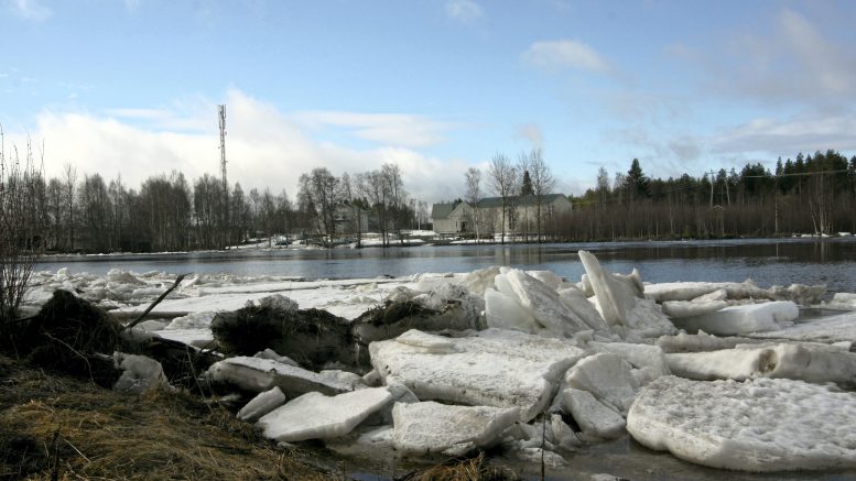 Pääsiäisen jälkeen voi alkaa arvuutella tuleeko tänä keväänä tulvia. Näkymä Kiiminkijoelle toukokuun alussa vuonna 2012. Kuva on otettu Alakylässä.