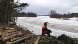 Iso-Miehikän saaren joenpuoleisella kaistaleella tehtiin kunnostustöitä vielä jäiden aikaan. Talkoot jatkuvat syksyllä. Kuva: Heikki Aarnipuro