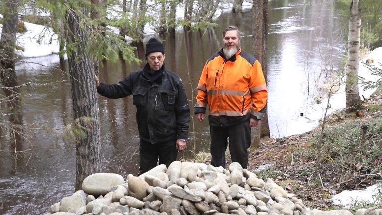 Pentti Marttila-Tornio ja Tomi Valkola ovat kuskanneet 1 600 tonnia erikokoisia kiviä Jolosjoen koskien rannoille. Kivillä ennallistetaan valitut kosket 1950-luvun perkauksia edeltävälle tolalle. Kuvassa ollaan Huijaksenkosken äärellä. (Kuva: Teea Tunturi)