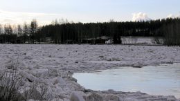 Huhtikuun 13. päivä vuonna 2016 Kiiminkijoen tulva näytti Alakylässä tältä. (Arkistokuva: Teea Tunturi)