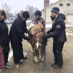 Poni Albert valmiina omistajansa Paula Väisäsen kanssa. Ratsastajia kävi päivän aikana useampi kymmenen. Kuvassa ratsastamaan lähdössä Ilta Väisänen. (Kuva: Tiina Parkkinen)