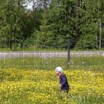 Iin illinsaaren leikkipuiston vieressä mietittiin mikä olisi parhain kukka. Kuva: Paula