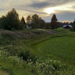 Kyllä Suomen luonto on kaunista! Kuva on Yli-Iistä. Kuva: Eini Repo, Yli-Ii