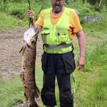 Vilho Nikkinen sai saaliiksi ison hauen Siuruanjoelta. "Laihanlaisella" hauella oli mittaa yli metri, tarkalleen 118 senttiä ja painoa 13 kiloa. Kuvan nappasi paikalla ollut todistaja.