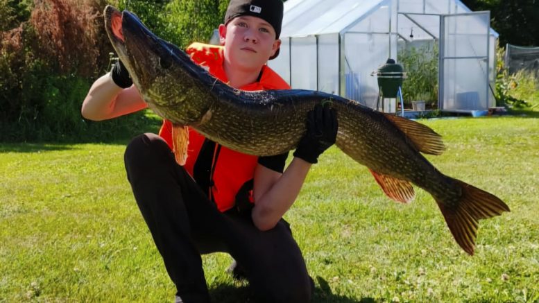 Joonas Malo väsytti valtavaa möhkälettä 20 minuutin ajan. Kuvat: Kaisa Malo