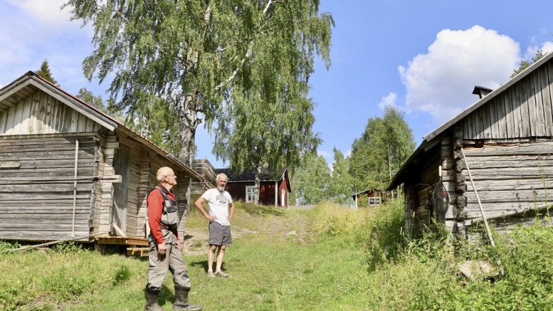 Välimaan talon pihapiiri on upea tuulahdus menneisyyttä. Talon kaksi saunaa sijaitsevat Kutujärven rantaan johtavan polun varrella. Nyt tervalla maalattu talo on maalattu viimeksi noin 70 vuotta sitten. Esa Ukonmaanaho kuuntelee, kun Matti Koistinaho muistelee menneitä aikoja, ruispellon lainehtimista ja raskaita maatöitä. Kuvat: Teea Tunturi