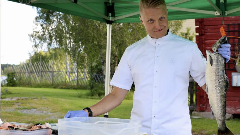 Michelin-ravintola Olon keittiömestari Mikko Pakolan sydän sykkii kotimaiselle kalalle. Hän opasti kalankäsittelyä Iissä Villa Kauppilassa järjestetyssä tilaisuudessa, jossa pohdittiin keinoja kotimaisen kalan arvostuksen lisäämiseksi. Kuvan komea lohi on Iin vesiltä pyydetty, mistä kertoo punainen merkki kalastajaa myöten. Kuvat: Auli Haapala