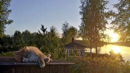 Hellepäivät ovat ohi. Kuva: Rantapohjan arkisto