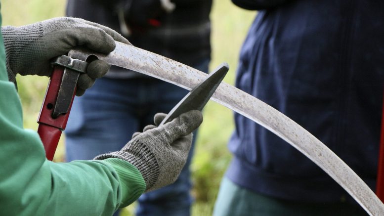 Viikatetta on hyvä teroittaa tasaisin väliajoin liippakivellä, sillä tylsällä vehkeellä ei saa paljoa aikaiseksi.