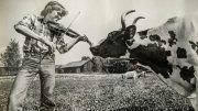 Mikko Alatalon syksyn kiertueen teemana on 50 vuotta Maalaispojan lauluja. Kuva: Risto Vuorimies