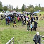 Alavuoton perinnepäivä keräsi koolle suuren yleisön.