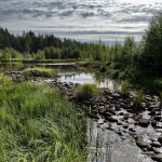 Jäälin erämaareitti alkaa Kalamäen kosteikkoalueen kupeesta.