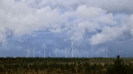 Metsähallitus suunnittelee tuuli- ja aurinkovoima-aluetta Yli-Iin Koutuanjärvelle. Kuvassa Pahkakosken tuulivoima-alueen myllyjä. Kuva: Teea Tunturi