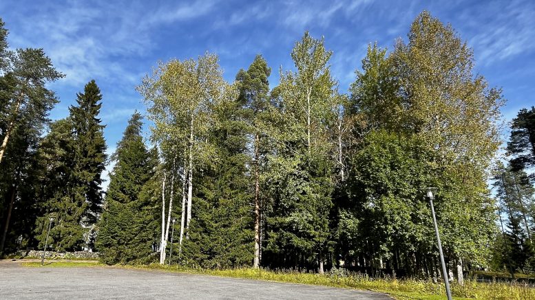 Kiimingin seurakuntakeskuksen korvaavaa uudisrakennusta suunnitellaan rakennettavaksi tähän kirkon parkkipaikan viereiseen metsäkolmioon. Kuva: Teea Tunturi