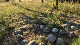 Kuvassa on jatulintarhan kivilabyrintin keskiosaa urheilukentän suunnalta katsottuna. Taaempana oleva rakennus on suojeltu entinen opettajien asuntola ja nykyinen vuokratalo puretun Kivikoulun tontilla. Kuvat: Auli Haapala