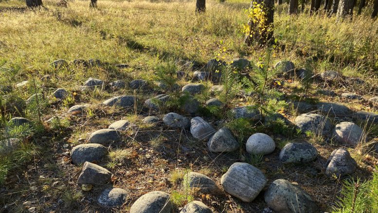 Kuvassa on jatulintarhan kivilabyrintin keskiosaa urheilukentän suunnalta katsottuna. Taaempana oleva rakennus on suojeltu entinen opettajien asuntola ja nykyinen vuokratalo puretun Kivikoulun tontilla. Kuvat: Auli Haapala