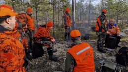 Heinikosken hirviporukka kokoontui yhdessä pistämään, suolestamaan ja kuljettamaan kaadetun hirven. Mukana oli myös perheen nuorimpia seuraamassa tapahtumia. Kuvat: Anu Kauppila