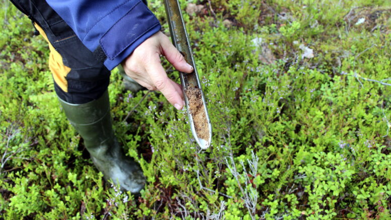Oijärven malmitutkimuksilla on nyt uusi operoija. Kuva on kesän 2022 maastotutkimuksista Oijärveltä. Kuva: Teea Tunturi