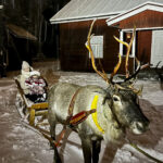 Aurora Leipivaara pääsi äitinsä kanssa Uuno-poron kyydille museon pihamalla.