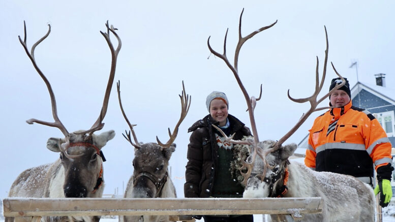 Jenni ja Rauno Hekkala pyörittävät PoroHekkala Mafiaa sydämellä ja rakkaudesta poronhoitoon. Kuvassa myös rekiporot porot Juupas, Kärpänen ja Halti. Kuvat: Teea Tunturi
