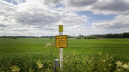 Putki kaivetaan maan alle, joten avomaastossa sitä ei huomaa, mutta metsään jää kymmenen metrin levyinen kaistale, jossa ei voi kasvattaa metsää. Kuva: Gasgrid