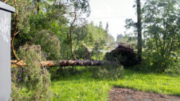 Muuttuva ilmasto saattaa aiheuttaa esimerkiksi myrskyvahinkoja. Kuva: Rantapohjan arkisto