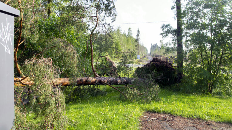 Muuttuva ilmasto saattaa aiheuttaa esimerkiksi myrskyvahinkoja. Kuva: Rantapohjan arkisto
